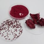 Hibiscus Extract: A Natural Way to Support Heart Health